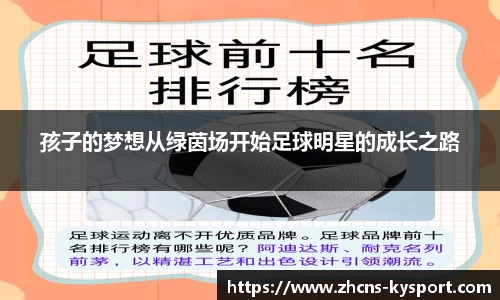 孩子的梦想从绿茵场开始足球明星的成长之路